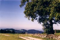 Ein "Augen-" Blick in der Ferne