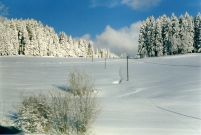 Bilderbuch-Winter